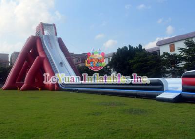 China Inflatable Adult Water Slide Customized Size Suitable For Special Party for sale