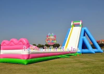 China Long Inflatable Beach Slide For  Party / Rental Business / Water Park for sale