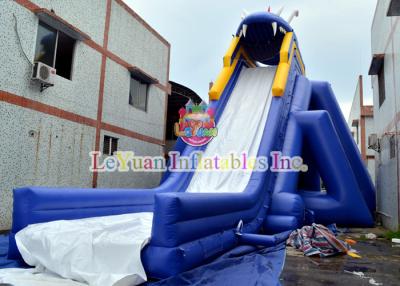 China Big Inflatable Hippo Slide , Commercial Inflatable Slide For Event for sale