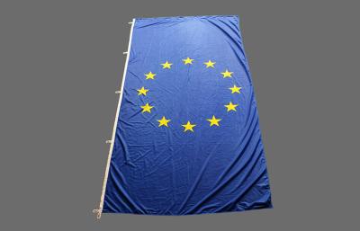 China Screen Printed Blue Straight EU Outdoor Flags With Strong Ribbon / Hook for sale