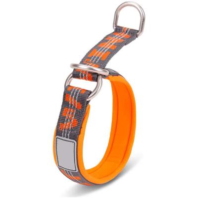 China Best Sustainable Dog Collar Selling Comfortable Lightweight Neoprene Padded Half Choke Dog Training Collar for sale