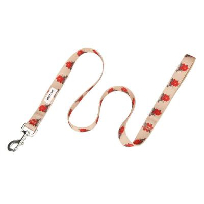 China DETACHED Durable No Pull Polyester Dog Leash Soft Padded Handle Dog Lead Leash For Medium Dog for sale