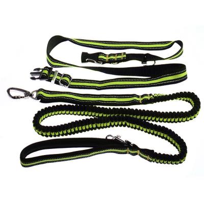 China Thoughtful Hands Loose Hands Bungee Rope Dog Lead Leash Carabiner Belt Carabiner Free Dog Leash For Running Training for sale