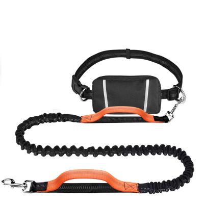 China Anti-theft Thoughtful Collapsible Bungee Hands Free Dog Leash Dog Waist Bag With Adjustable Restraint Belt for sale