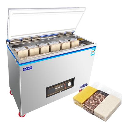 China 2021 Hot Sale Food Sealer Machine Home Food Packaging Vacuum Packing Machine for sale