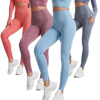 China Breathable Multiple Colors European Sexy Hip Stretch Dot Woman Gym Lifting Fitness Yoga Pants Optional for sale