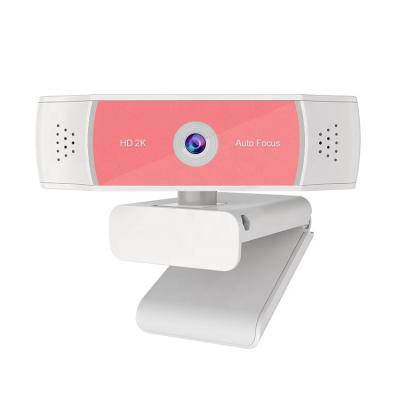 China ABS Shuolun C17S-Pro 1080P 2K 4 Megapixel 30PFS CMOS Auto Focus Sensor USB 2.0 Webcam For Laptop Computer for sale