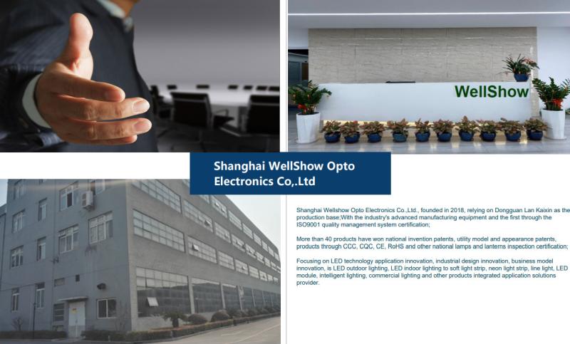 Verifizierter China-Lieferant - Shanghai Wellshow Opto Electronics Co., Ltd. 1YRS