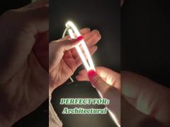 0808 LED Neon Light