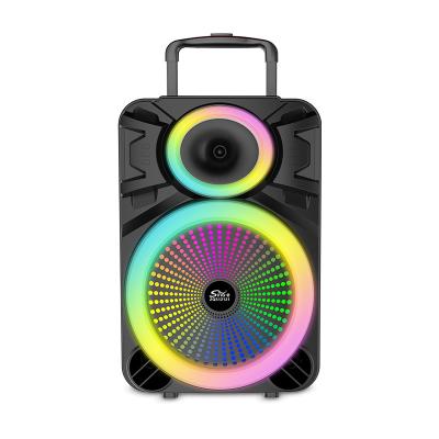 China SING-E ZQS12121 12 Inch Portable Trolley Subwoofer Speaker With Colorful RGB Lights 60W Deep Bass Support Dual Wireless Mic en venta