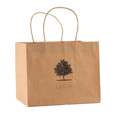 China Recyclable Wholesale Custom Printing Biodegradable Kraft Paper Bags With Handles for sale