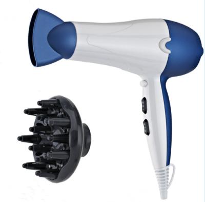 China Low Noise Ionic Hair Dryer AC Motor Fashion Design 2 Round VDE Plug for sale