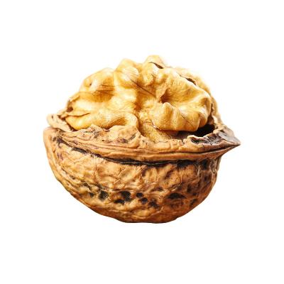 China Yunnan origin dry raw walnut kernel in the shell for sale hand skin kernel kernel walnut with thin skin for sale