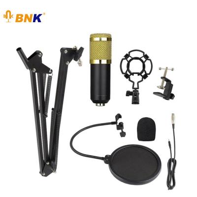 China Studio Microphone BNK Digital Voice Recorder Condenser Studio Microphone Boom Microphone for sale