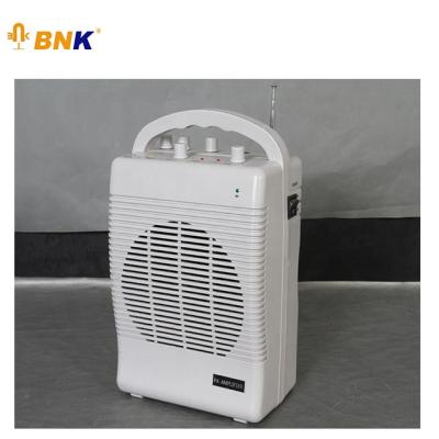 China BNK Professional Wireless Portable Voice Amplifier PA Sound System with HY-209 HY-209 Amplifier for sale