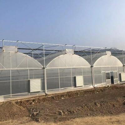 China Stable Structure Easily Assembled Multi Span Modern Agricultural Plastic Film Greenhouses Invernadero for sale