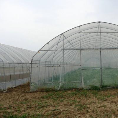 China Arch / Tunnel Type Agricultural Greenhouse The Most Economical And Practical Film Greenhouse for sale