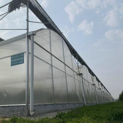 China Stable structure easily assembled modern multi span PO plastic film greenhouses agricultural invernadero for sale