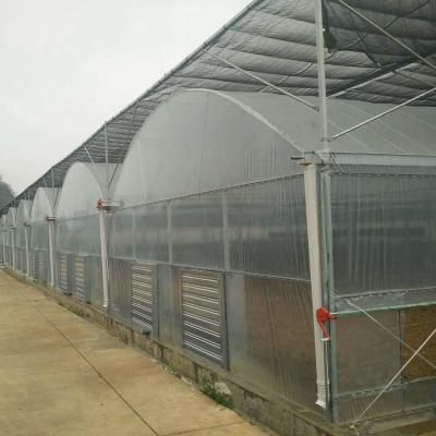 China Stable structure easily assembled agricultural multi span sawtooth roof plastic sheet greenhouses invernadero for planting for sale