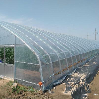 China Modern Agricultural Multi Span PE PO EVA Plastic Film Tunnel Greenhouse Greenhouse Invernadero for sale