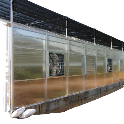 China Venlo Type With Double / Three Triangle Edges Commercial Smart PC Sheet Greenhouse For Show Vegetable for sale