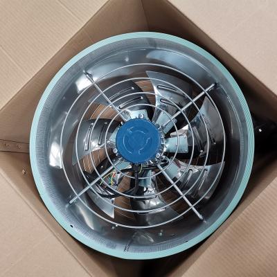 China Hot Selling Air Circulator Stainless Steel Blade Air Circulation Fan For Area Greenhouse Tropical Air Circulation Inside Greenhouse for sale