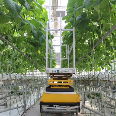 China Greenhouse vegetable picking hydraulic lifting platform for greenhouse vegetable fruit picking for sale for sale