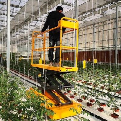 China Self Propelled Tools Greenhouse Harvest Cart Trolley Lift Platform For High Position Cucumber / Tomato for sale