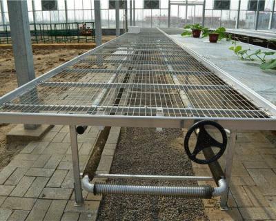 China Galvanized Steel Seedling Greenhouse Movable Mobile Bench For Seedling Cultivation for sale