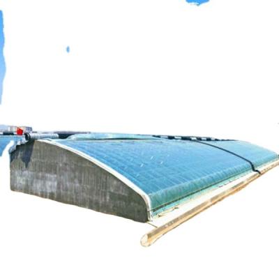 China Fruits Vegetable Flowers Solar Greenhouse Covered With Quilt For Winter Planting In Cold Area No Need Heating System for sale