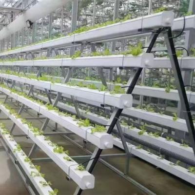 China One View Farms Modern Agriculture Hydroponics Style System For Lettuce/Salad/Growing/Hydroponics/Strawberry for sale