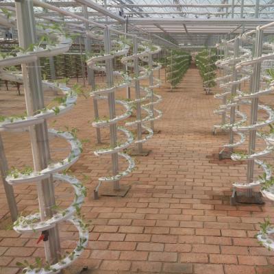 China Farms Plant Supply Spiral Hydroponics for Leafy Vegetables/Lettuce/Spinach/Sugar Beet for Modern Agriculture Farming for sale