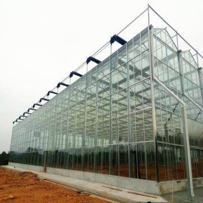 China Venlo type with double / three triangle ridges factory supply glass greenhouse with shading net widely used for sensitive areas for sale