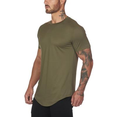 China Wholesale New Cotton Casual Anti-Shrink Curve Edge 100% Short Sleeve T-Shirt For Men's Gym Shirt for sale