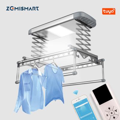 China Double-arm Smart Ceiling LED Light Electric Fast-drying Automatic Fabric Dryer Clothes Hanger Dryer Disinfection Alexa VoiceTelescopic Drying Rack for sale