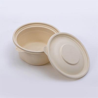 China Disposable Biodegradable Cornstarch Square Food Container Salad Bowl for sale