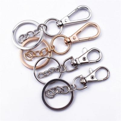 China Eco-Friendly Custom Key Ring Connector Key Chain Paint Lobster Key Loop Split Clasp Accessories Key Chain for sale