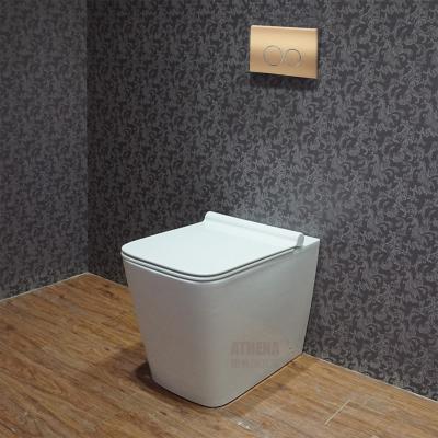 China CE Floor Standing Toilet WC Ceramic Toilet Cistern S Trap With Dual Flush Concealed Cistern for sale