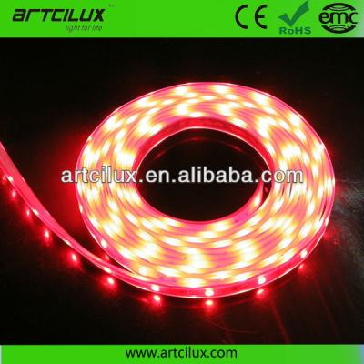 China 12V Self Adhesive RGB Remote Control Led Strip Lighting Under Cabinet for sale