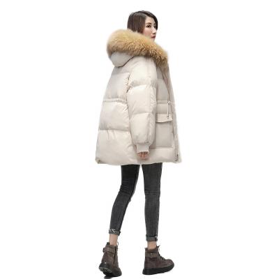 China The new 2020 cotton-padded women's winter coat viable mid length down warm women's long jacket for sale