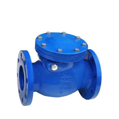 China General Din Swing Check Valve for sale