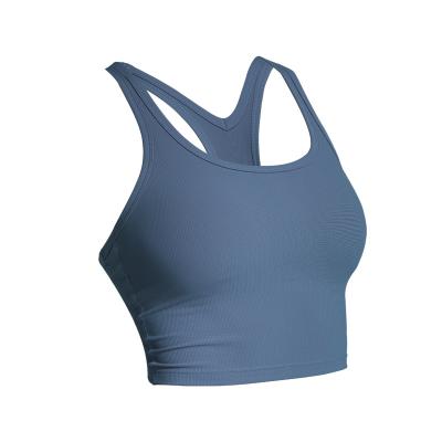 China Other Top 2021 Ladies Sexy New Sports Bra Ladies Gym Running High Intensity Lift Up Padded Yoga Bra Bluey Clothing for sale