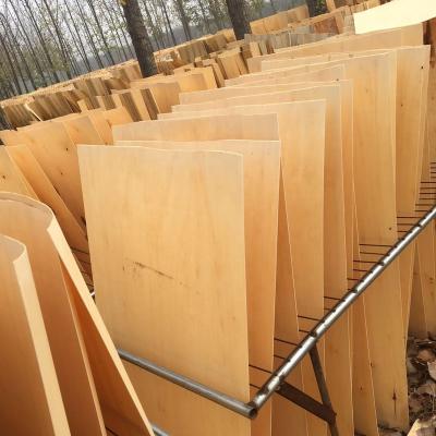 China Modern 2023 corrosion resistance high strength packing safety poplar wood veneer for sale