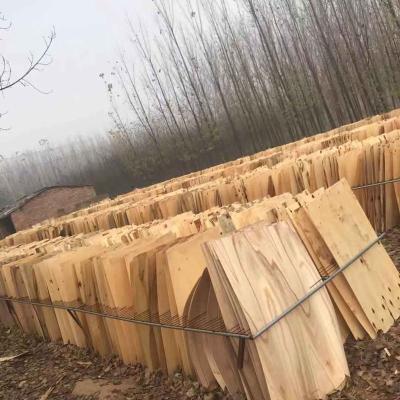 China Modern Natural timber hot-sellling 0.8-3.0mm  top quality for plywood poplar veneer for sale