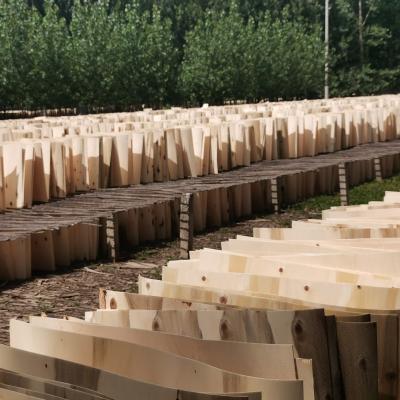 China Modern 1.27*0.84*0.0014 non-formaldehyde hot pressing construction poplar wood veneer for sale