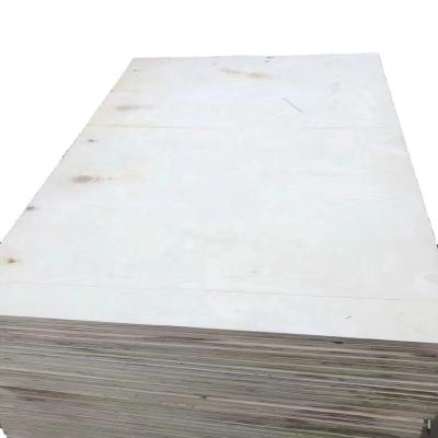 China Modern popular high strength packing safety for kitchen cabinet ecological board plywood for sale