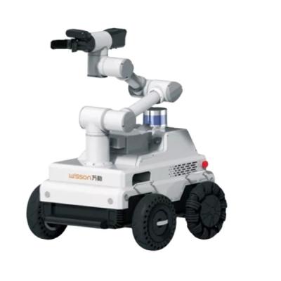 China Wifi Easy Deployment Commercial Robot With Visual Smart Mapping For Patrol Inspection for sale