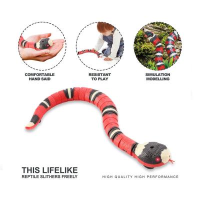 China Viable Automatic Pet Toy Snake Creative Smart Sensing Cat Electric Snake Interactive Charging Toys For Cats for sale