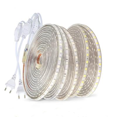 China 2021 LANDSCAPE 2835 LED Strip Light 2835 Waterproof Outdoor Waterproof Soft Warm White 11MM Lamp Lights LED Strips for sale