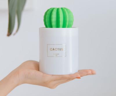 China Comfortable feeling cactus car humidifier small, automatic power off without water, bedside lamp for sale